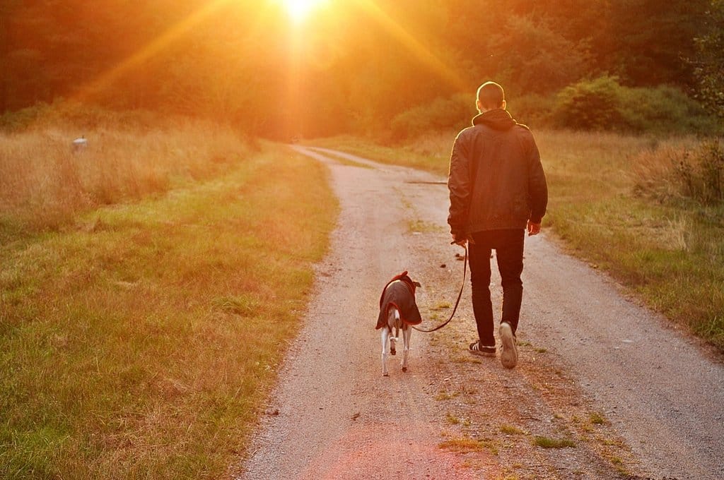 Man walking down a path at sunset