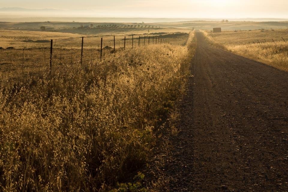 Country road at sunrise – the road to recovery