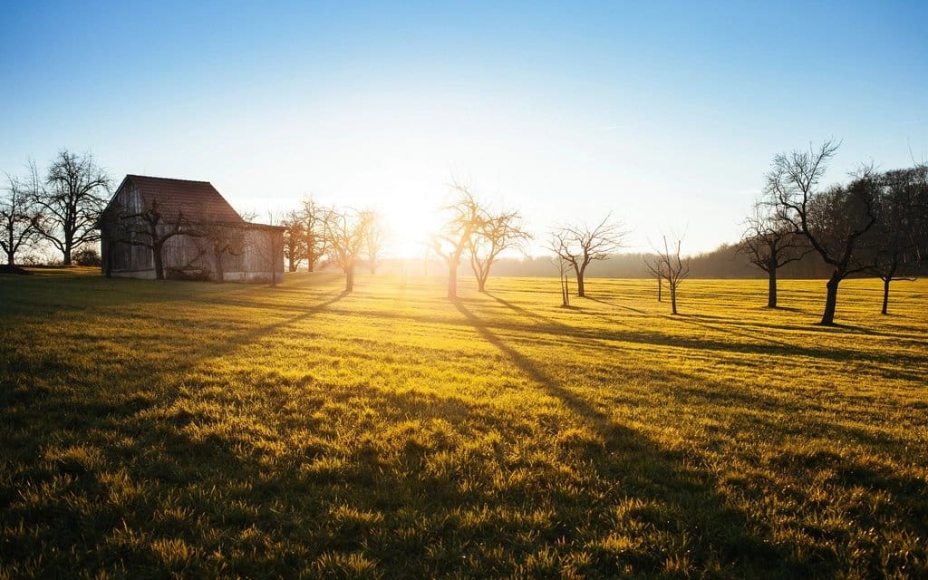 Sunrise over a field